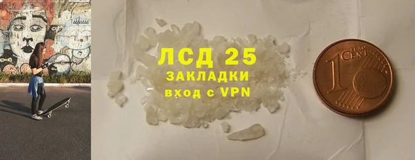 спайс Корсаков