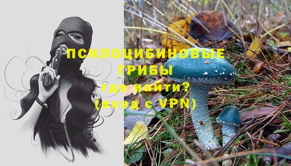 спайс Корсаков