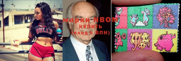 спайс Корсаков