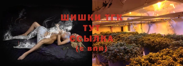 соль ск Коряжма