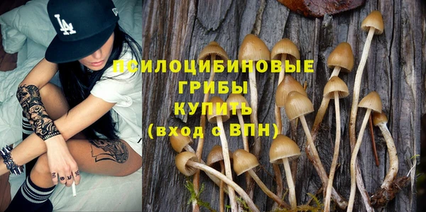 амф Кодинск