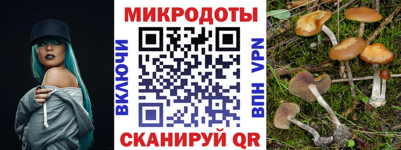 Купить где  Куровское  Псилоцибиновые грибы Psilocybine cubensis 